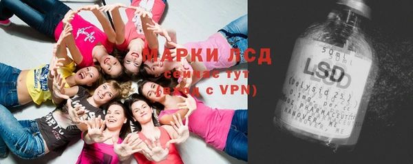 мяу мяу кристалл Покачи