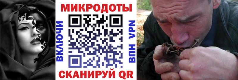 Псилоцибиновые грибы прущие грибы  Советский 